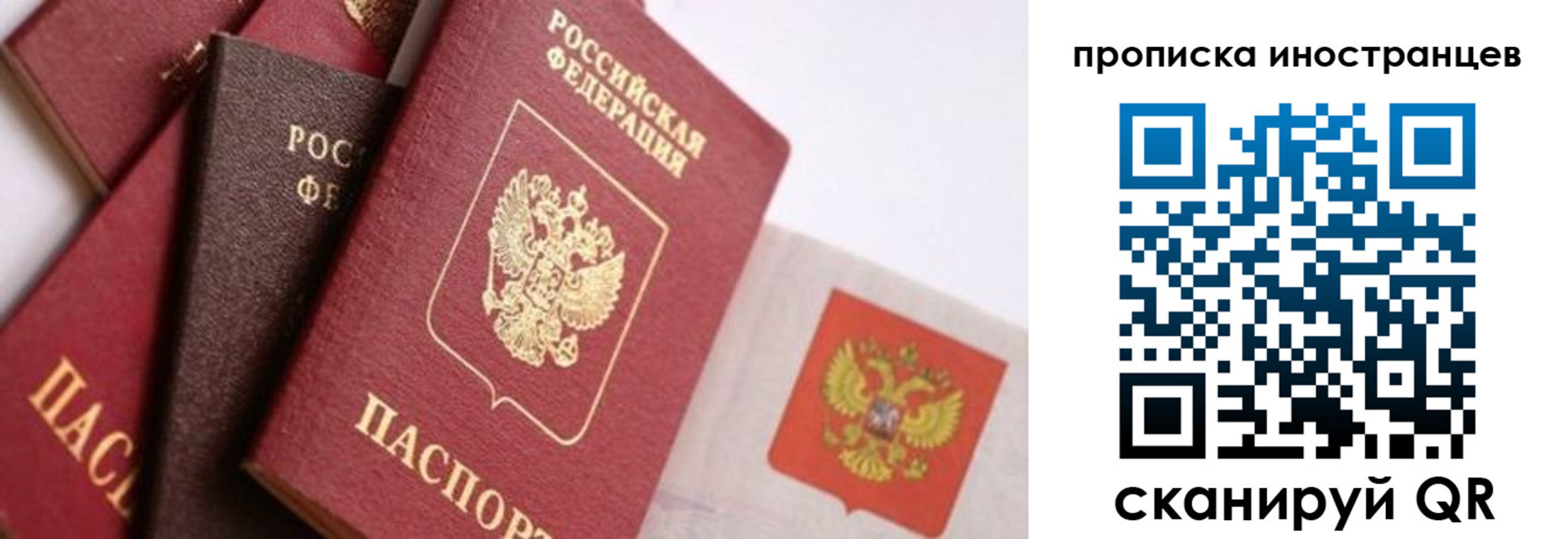 регистрация для школы в Камчатской области